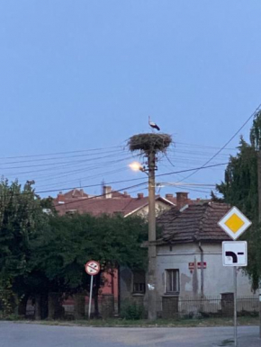Mio Stan Negotin